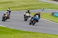 brands-hatch-photographs;brands-no-limits-trackday;cadwell-trackday-photographs;enduro-digital-images;event-digital-images;eventdigitalimages;no-limits-trackdays;peter-wileman-photography;racing-digital-images;trackday-digital-images;trackday-photos